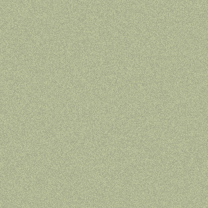Oyster White